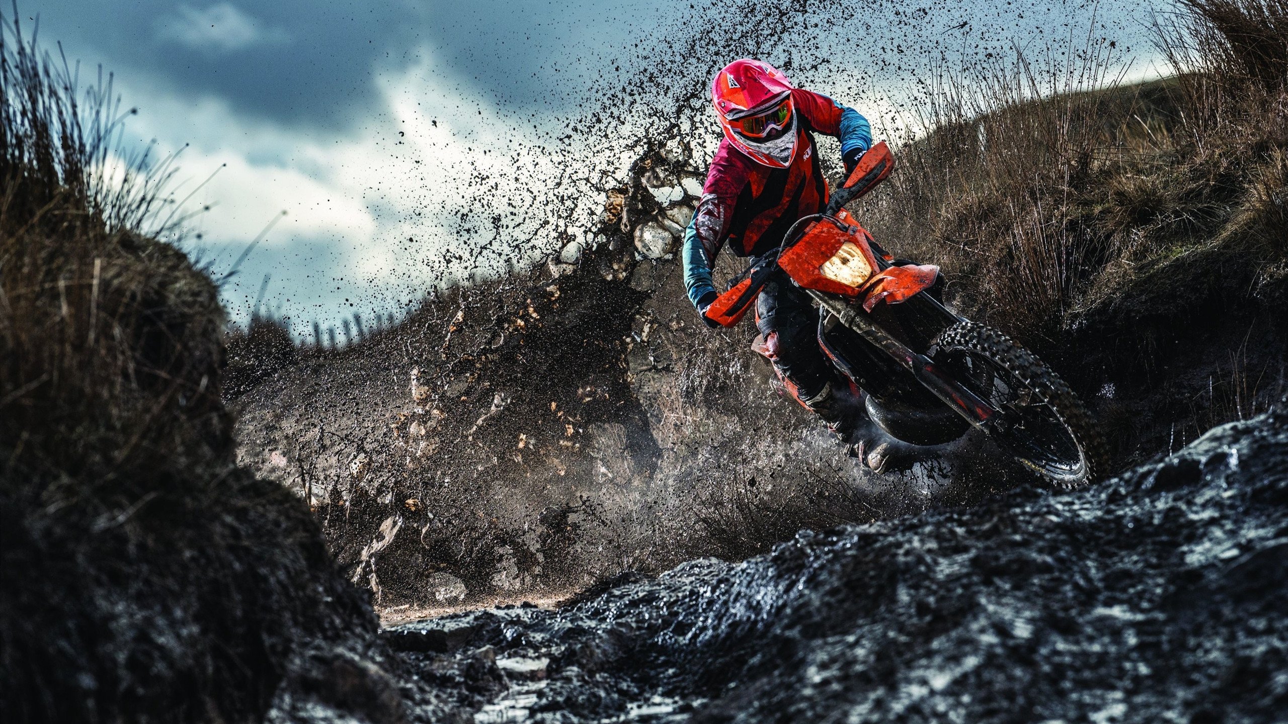 FB体育APP-紫金奇迹，湖人绝境翻盘爵士，塔图姆意外成为关键先生